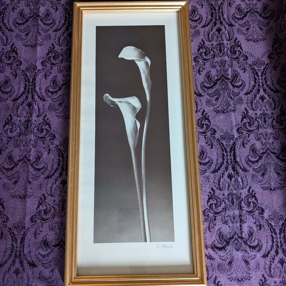 Dick & Diane Stefanich framed print "Calla Lilies" - Picture 5 of 6